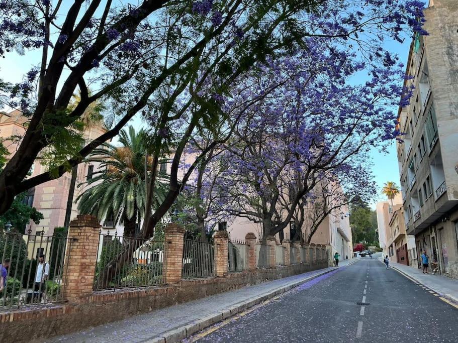 Apartamento Amar-Cura Málaga Esterno foto