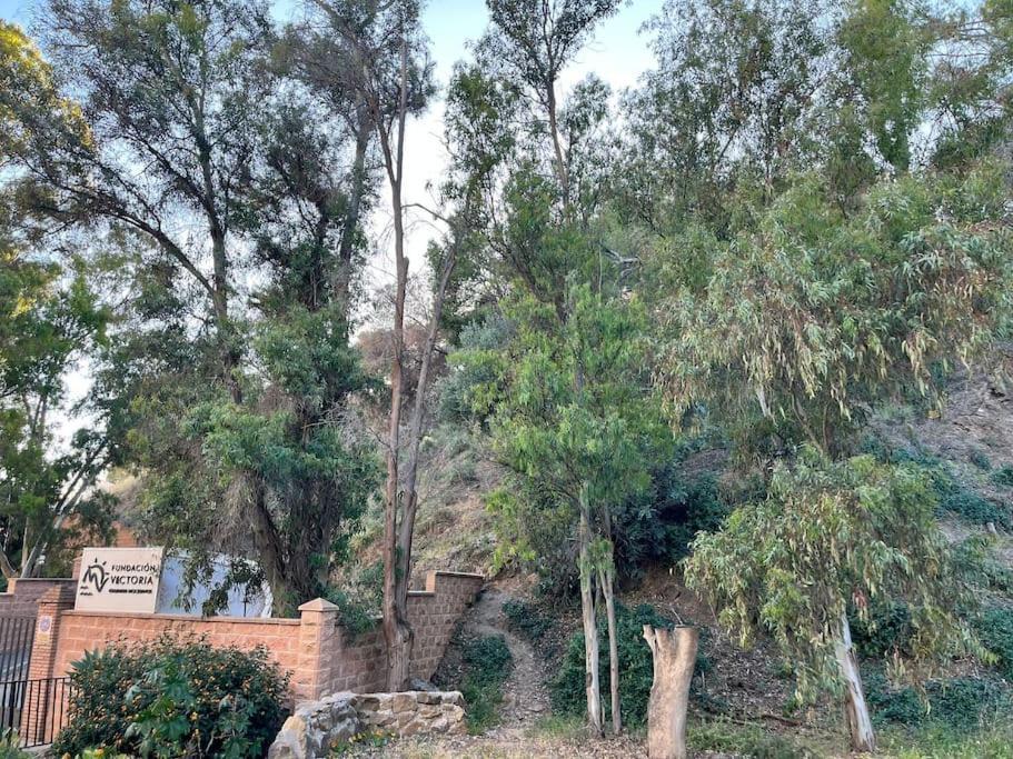 Apartamento Amar-Cura Málaga Esterno foto